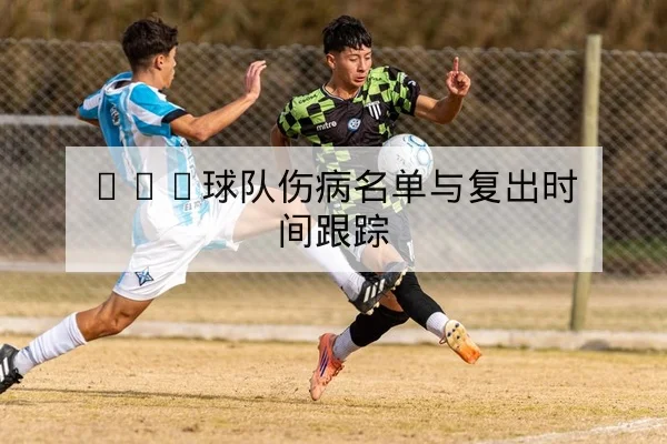 CBA球队伤病名单与复出窗口速查
